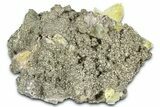 Glittering Pyrite & Yellow Calcite Crystals on Matrix - Missouri #363378-1